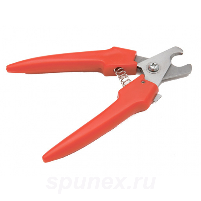 Когтерез боковой большой